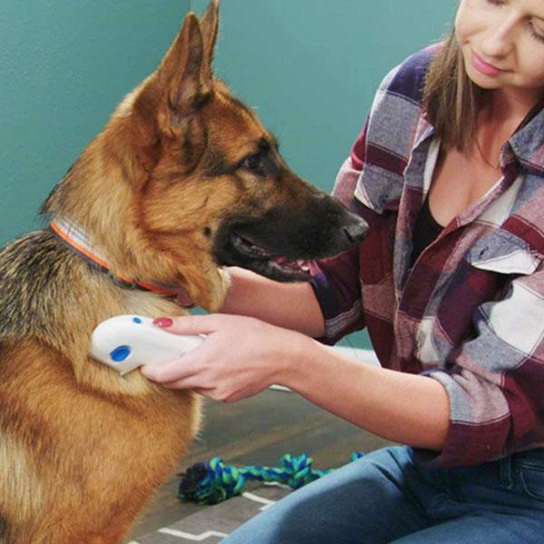 Electric Lice & Nit Remover - Best Pet Village