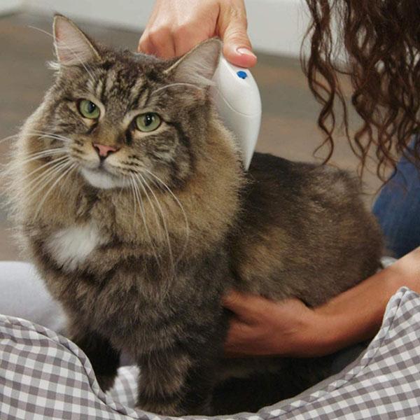 Electric Lice & Nit Remover - Best Pet Village