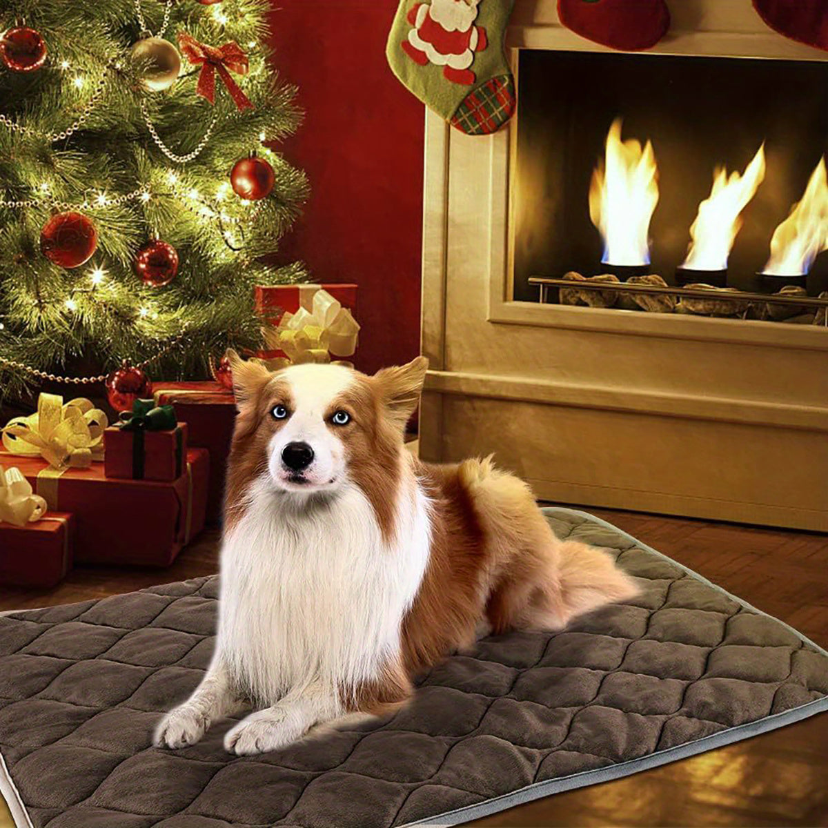 Washable Thermal Mat for Dogs & Cats - Best Pet Village