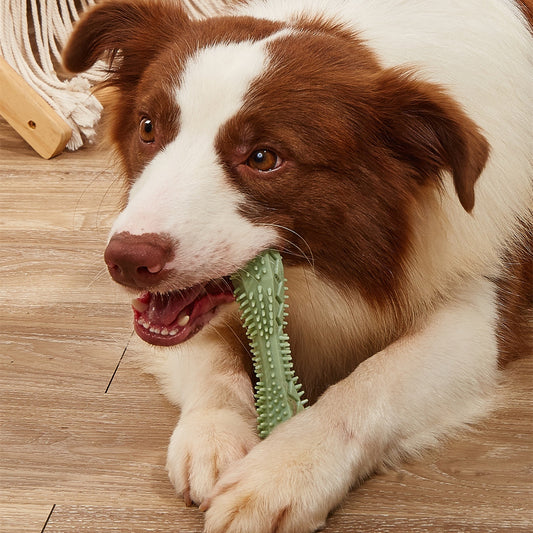 Dog Chew Toy - For Healthy Teeth! - Best Pet Village