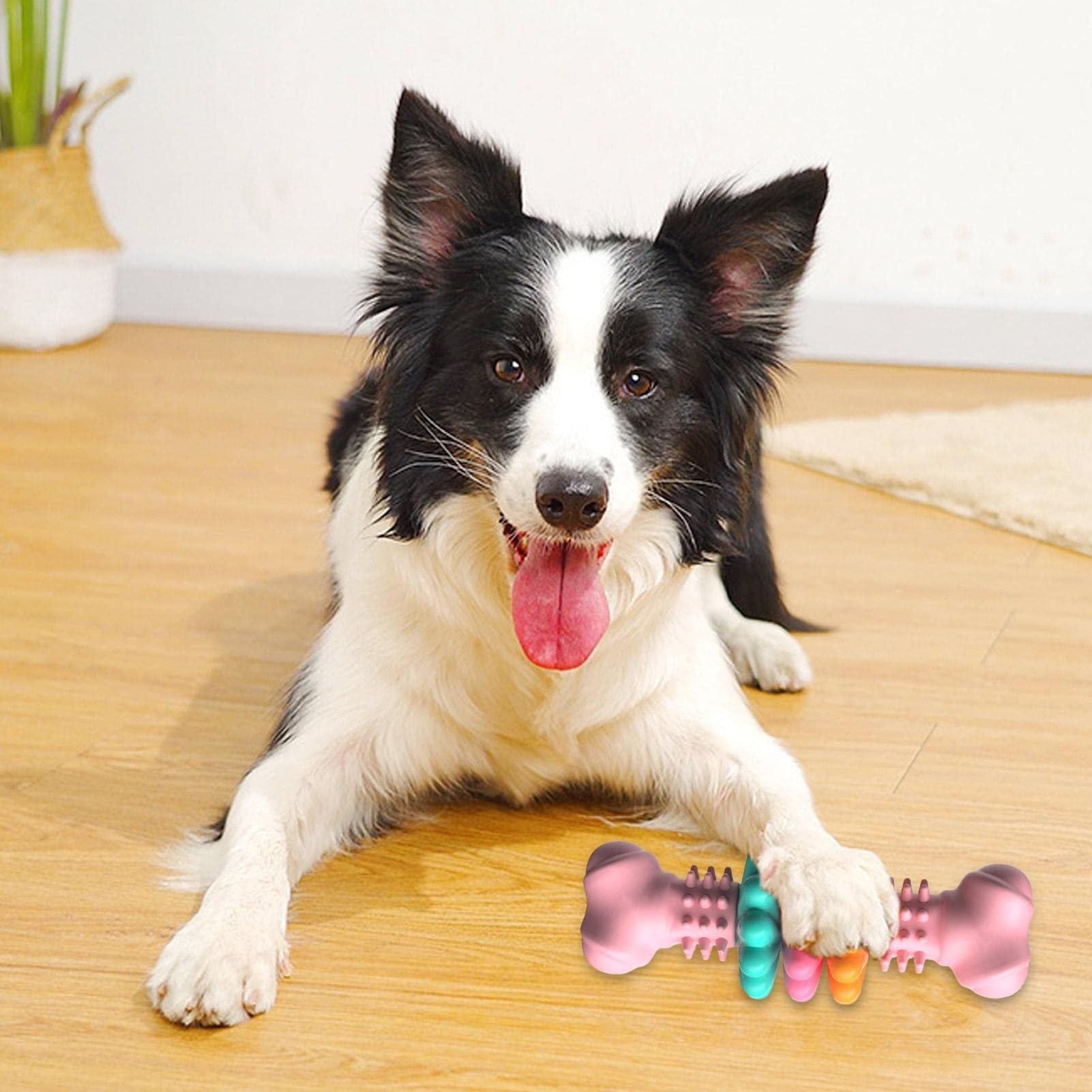 Indestructible Dog Bone - Best Pet Village