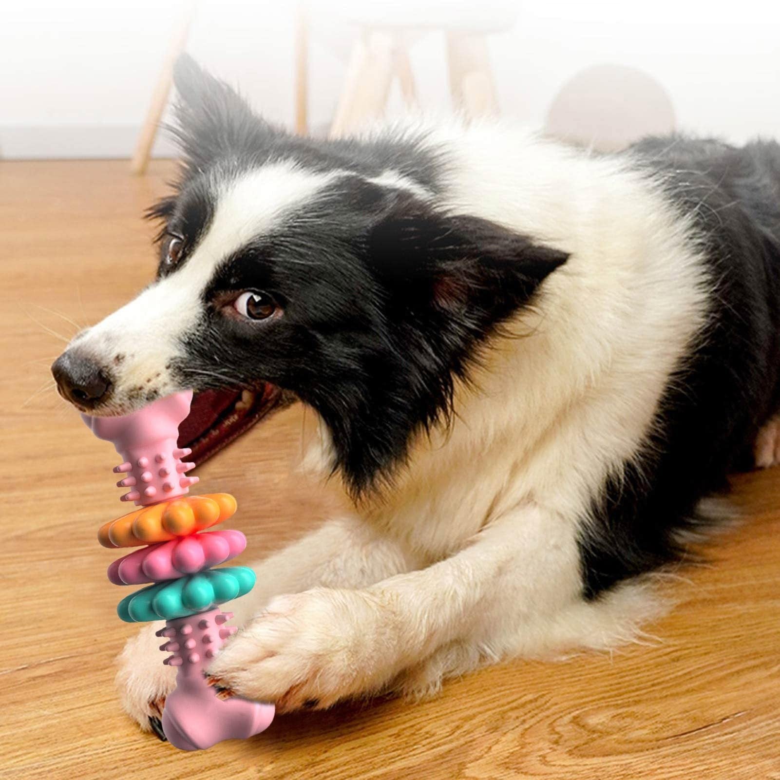 Indestructible Dog Bone - Best Pet Village