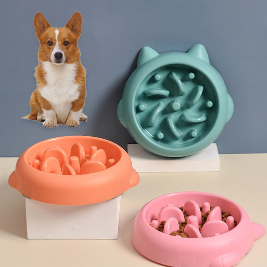 Anti-Choking Slow Feeder Bowl - Best Pet Village