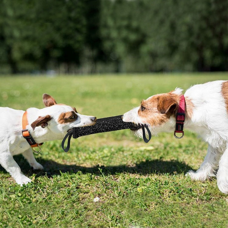 Dog Training Bite Stick