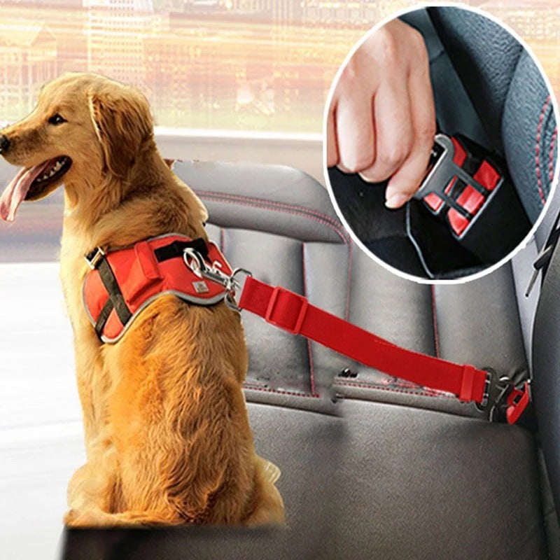 Adjustable Pet Car Seat Belt - Best Pet Village