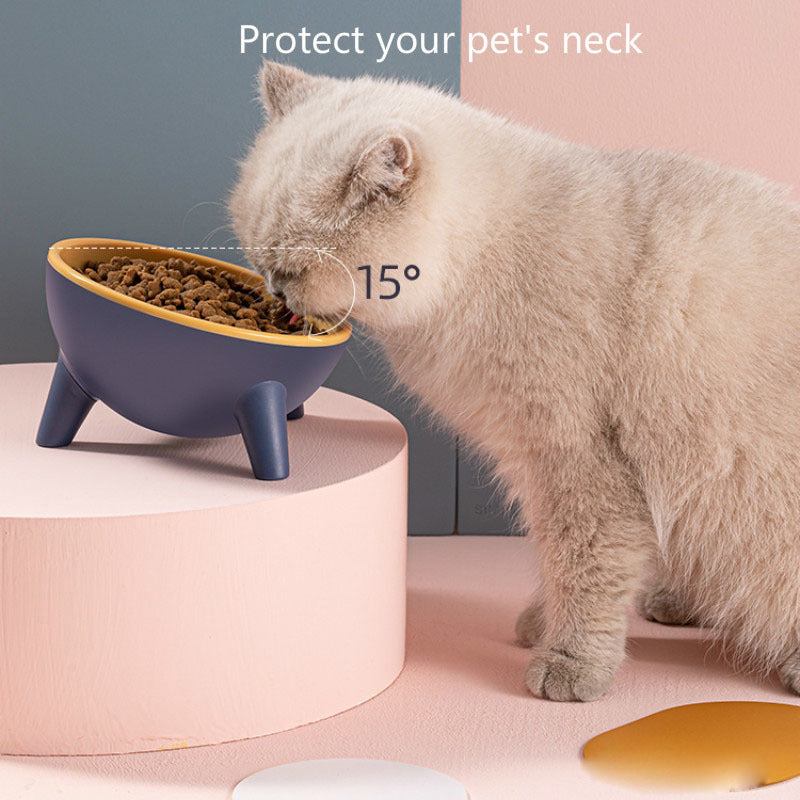 Tilted Pet Food Bowls - Best Pet Village