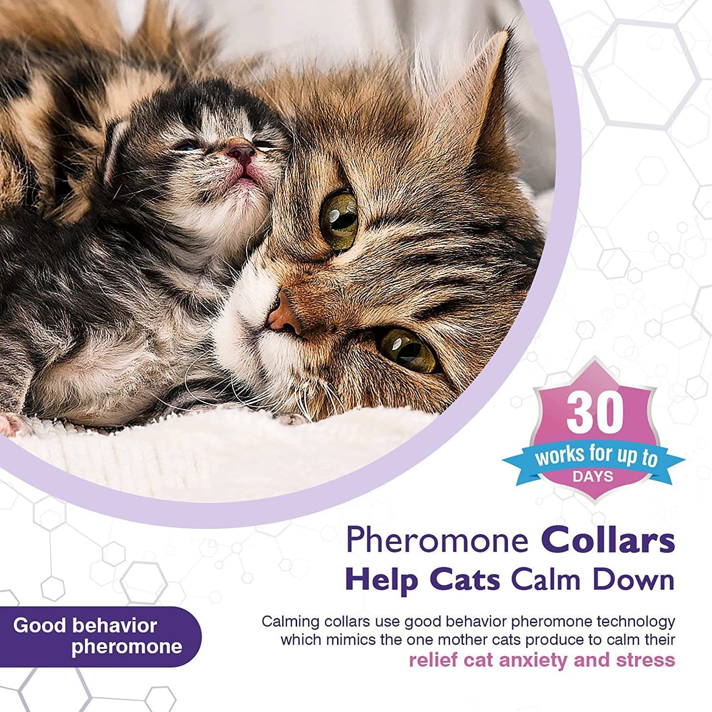 Pet Calm Collar: For Anxious Cats!