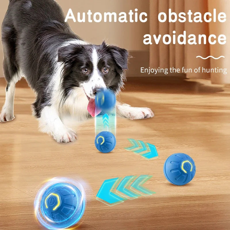 Smart Interactive Pet Toy Ball - Best Pet Village