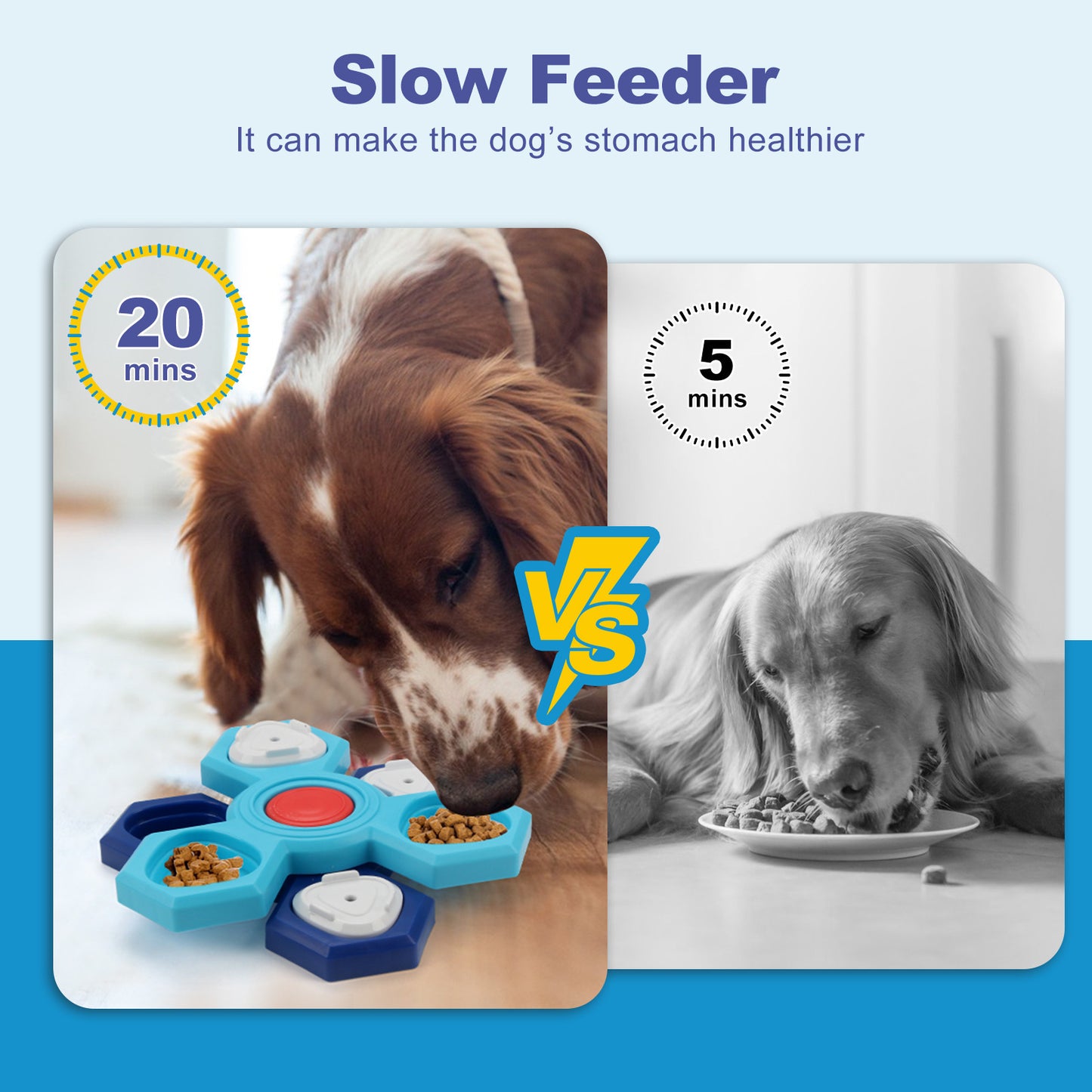 4-Layer Interactive Puzzle Bowl - Best Pet Village