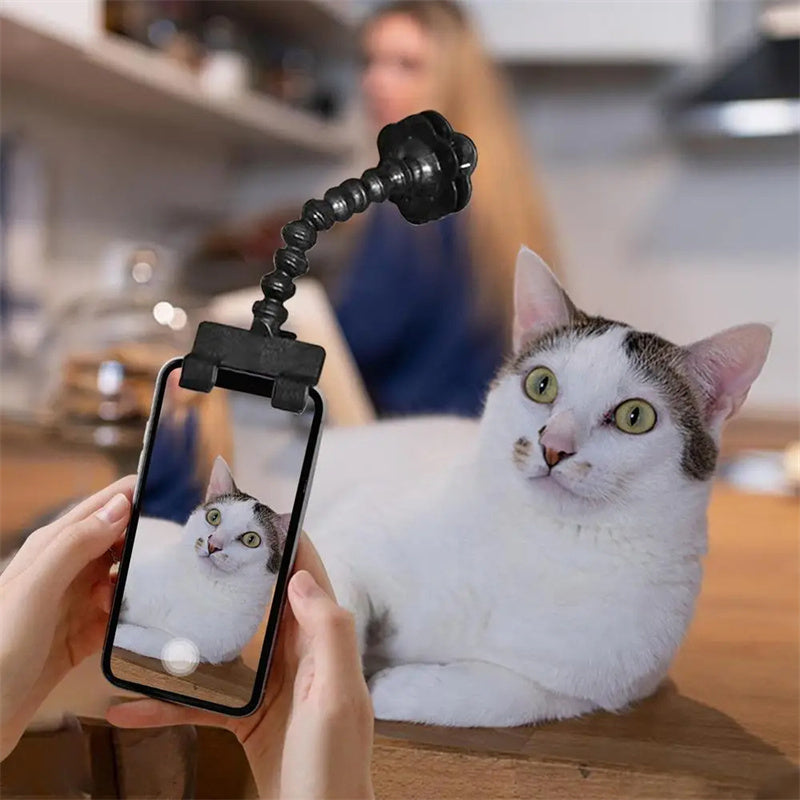 Try this wonderful 'Pet Selfie Stick'! - Best Pet Village