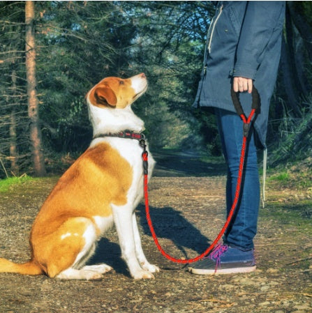 Reflective Nylon Dog Leash - Best Pet Village