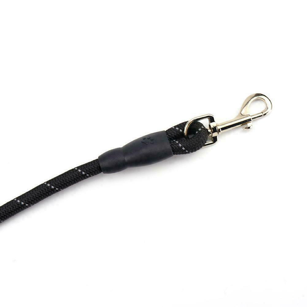 Dog Leash – Hands Free Lead