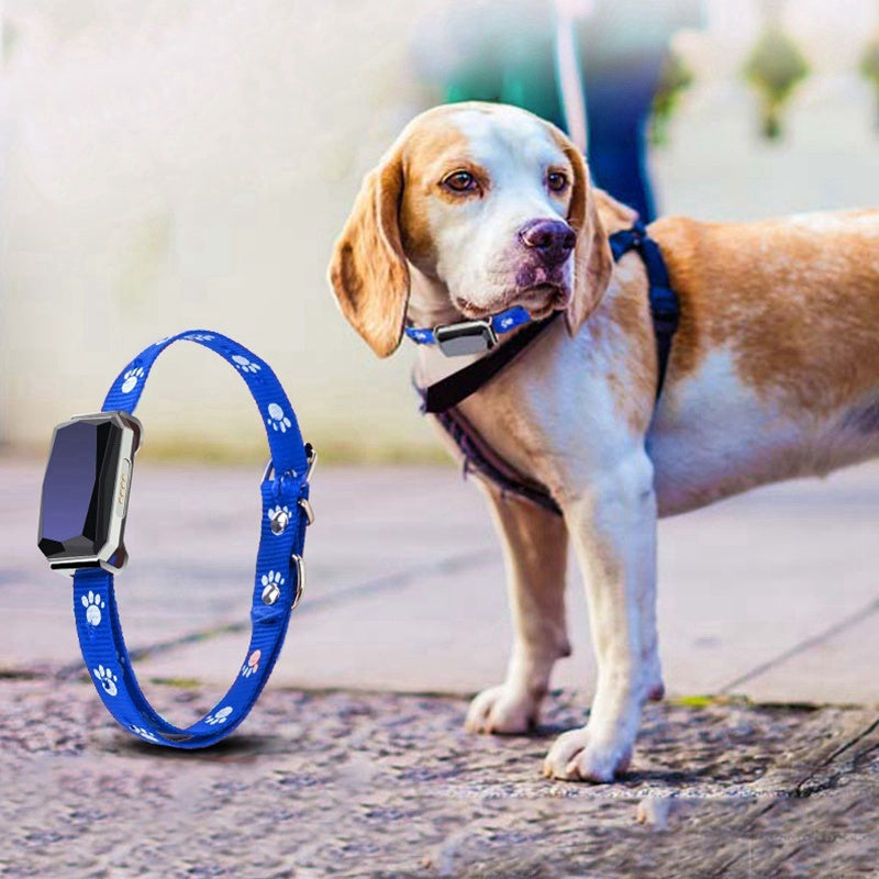 GPS Pet Collar