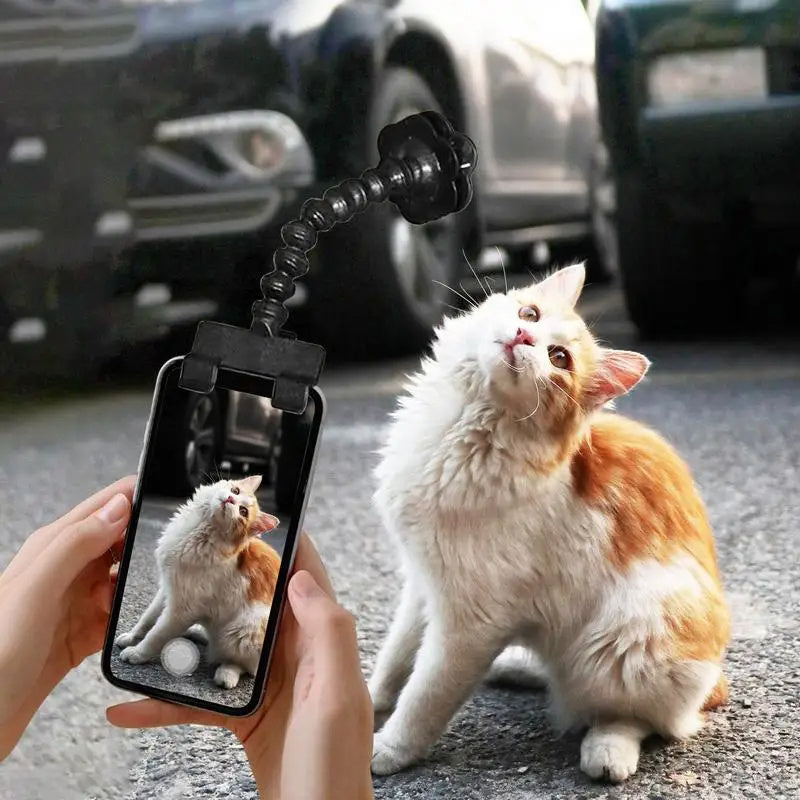 Try this wonderful 'Pet Selfie Stick'! - Best Pet Village