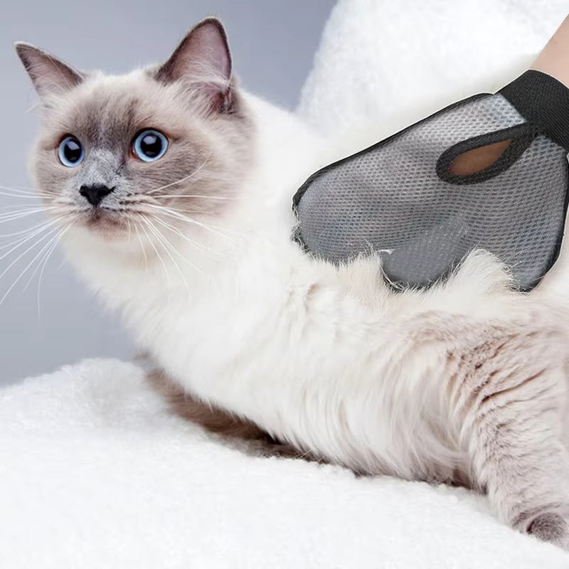 Silicone Cat Hair Removal Glove: Groom, Massage & Clean in One! - Best Pet Village