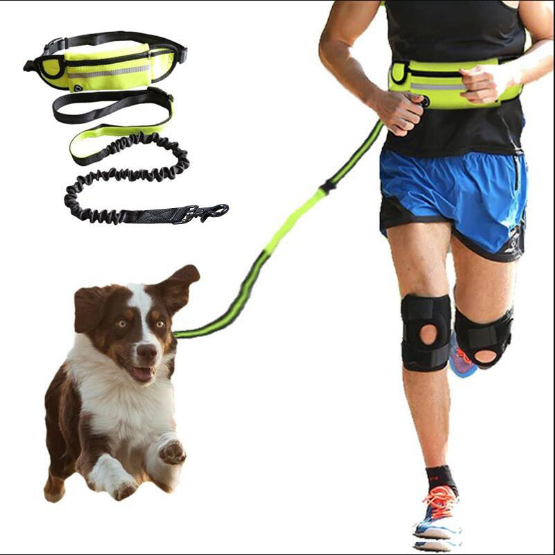 Jog With Your Dog - Hand Free Dog Leash - Best Pet Village