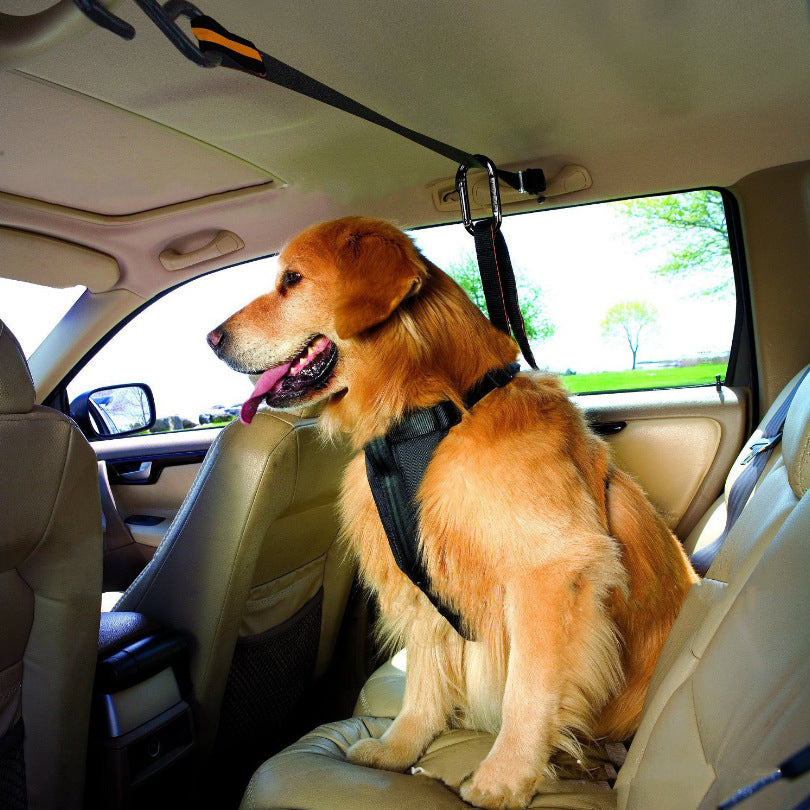 Secure Pet Safety Belt - Best Pet Village