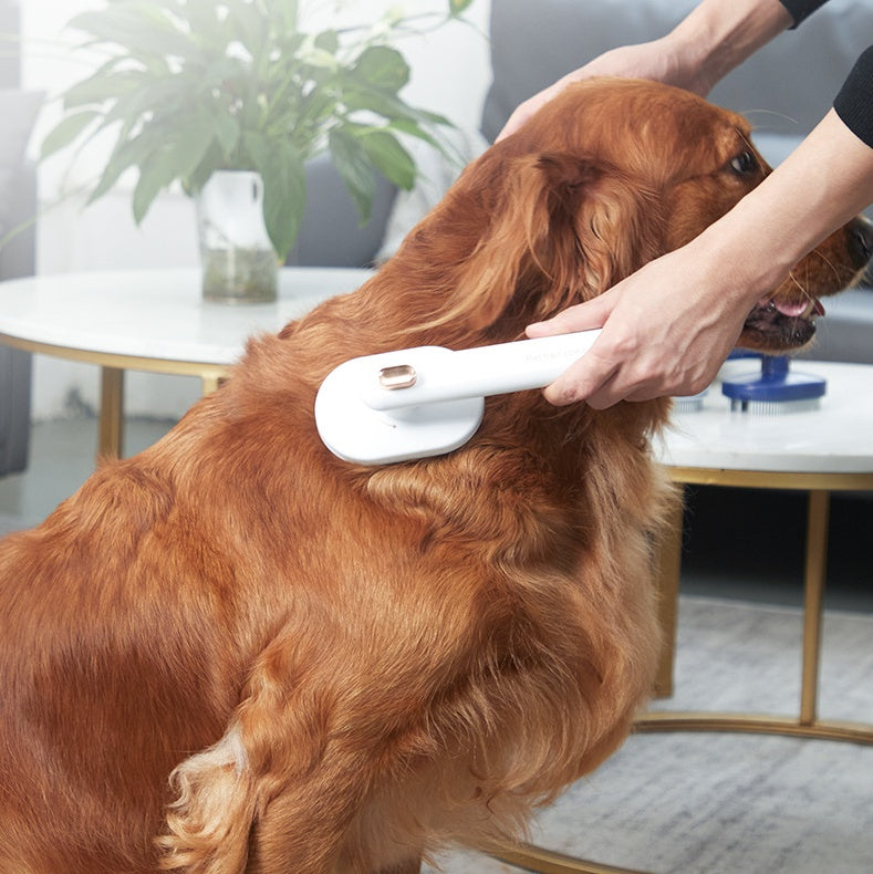 Self-Cleaning Pet Grooming Brush for Hair Removal - Best Pet Village