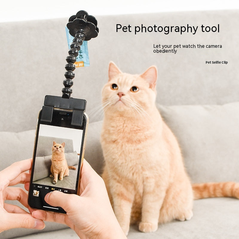 Try this wonderful 'Pet Selfie Stick'! - Best Pet Village