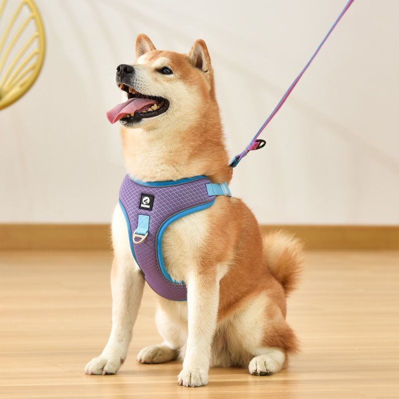 Super Comfy Dog Harness - Best Pet Village