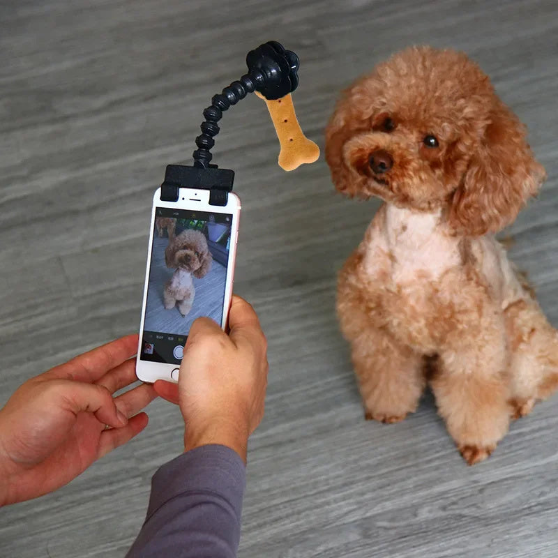 Try this wonderful 'Pet Selfie Stick'! - Best Pet Village