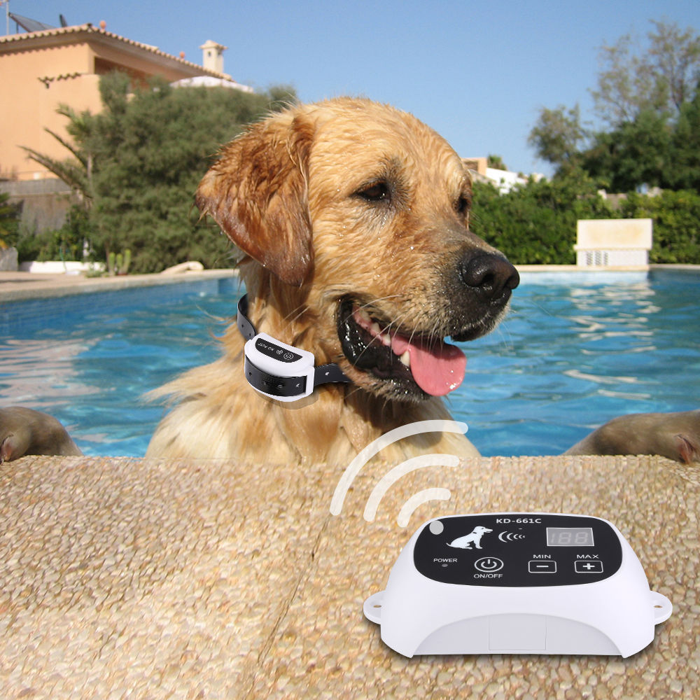 SafeZone™ Wireless Electronic Pet Fence - Best Pet Village