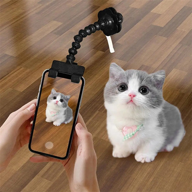 Try this wonderful 'Pet Selfie Stick'! - Best Pet Village