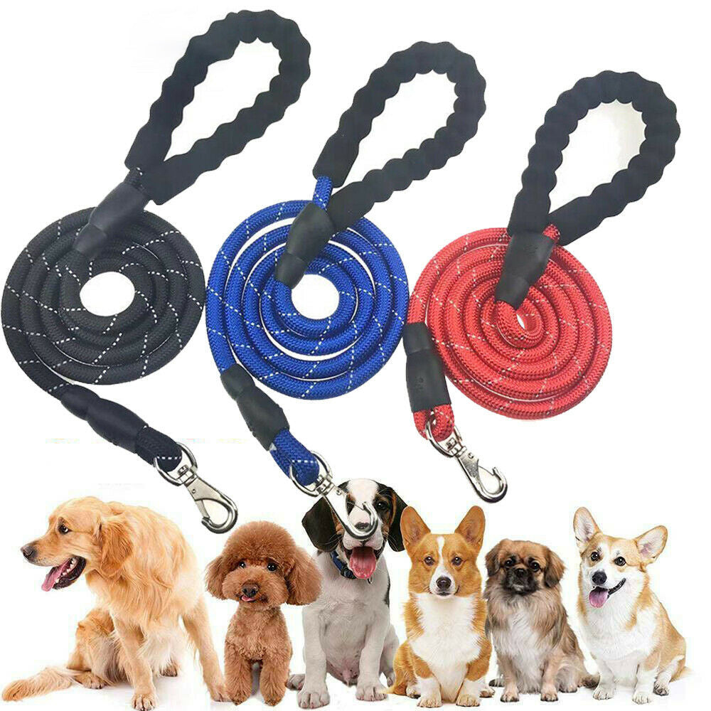 Dog Leash – Hands Free Lead