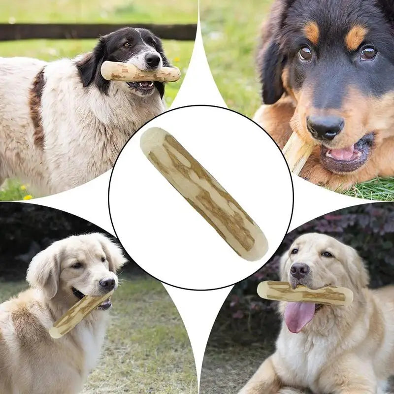 Dog Chew Stick - Best Pet Village