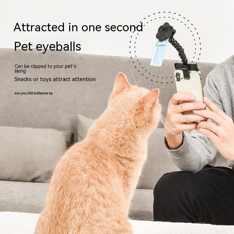 Try this wonderful 'Pet Selfie Stick'! - Best Pet Village