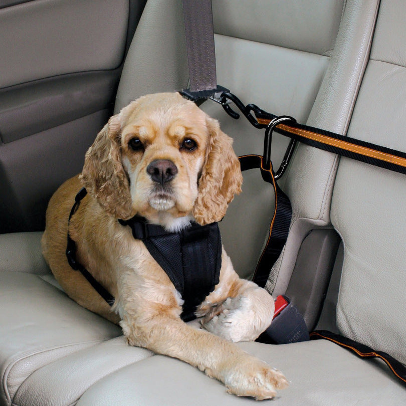 Secure Pet Safety Belt - Best Pet Village