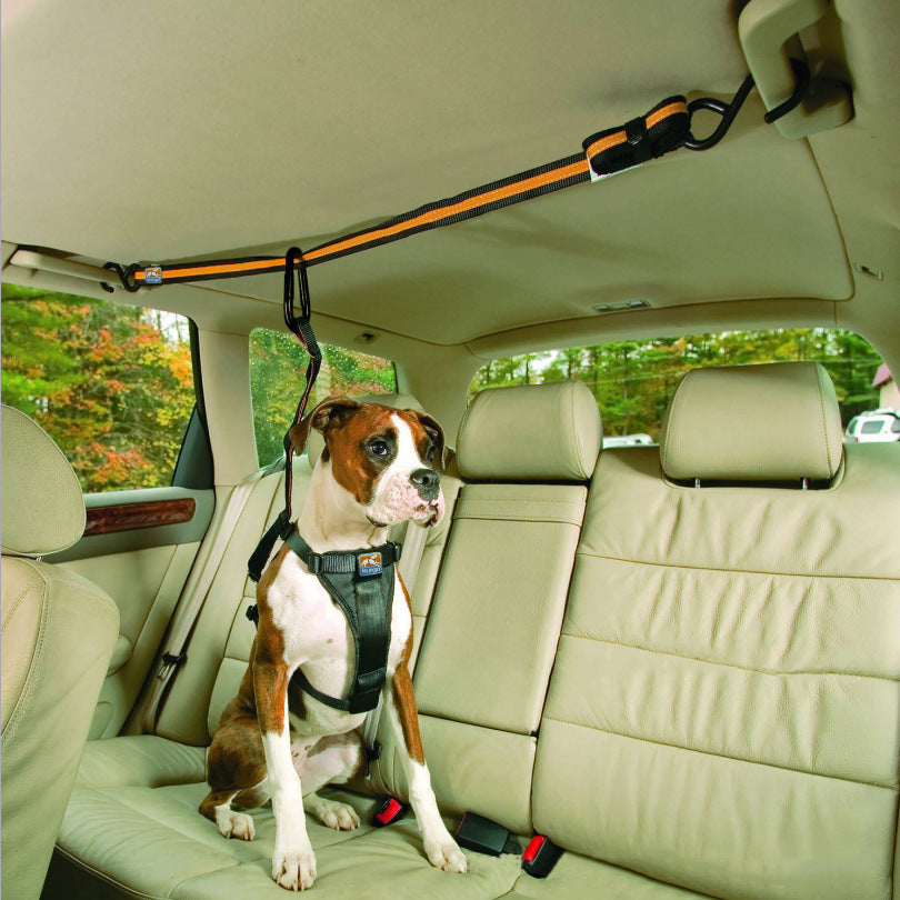 Secure Pet Safety Belt - Best Pet Village