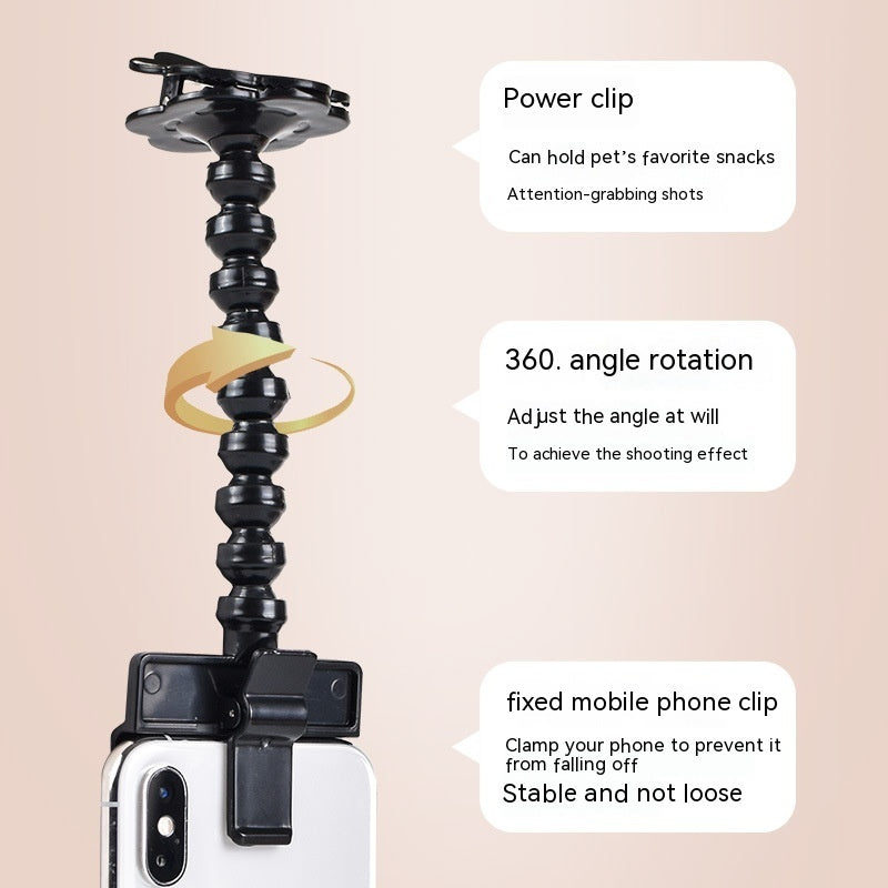 Try this wonderful 'Pet Selfie Stick'! - Best Pet Village