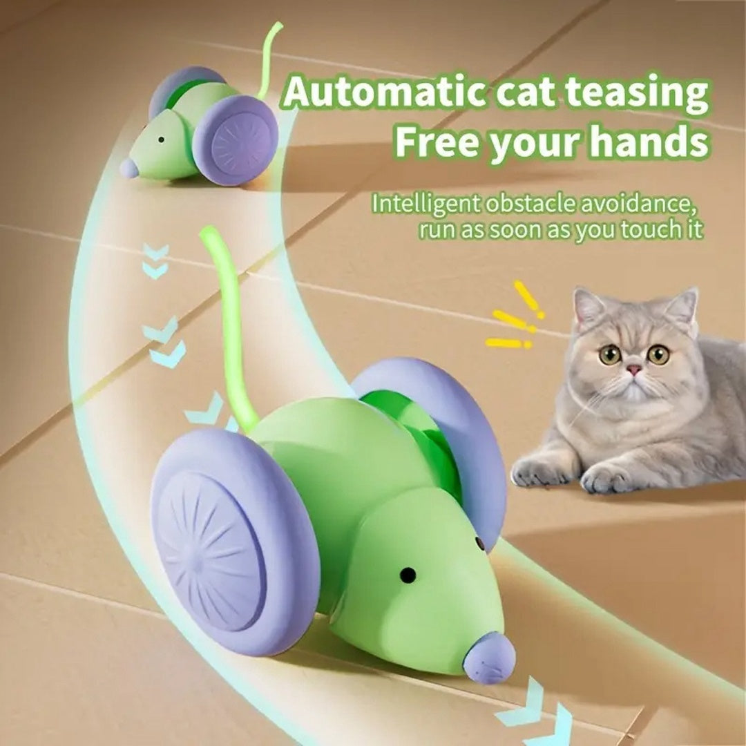 Interactive Electric Mouse Car for Cats – Automatic Teaser with Obstacle Avoidance - Best Pet Village